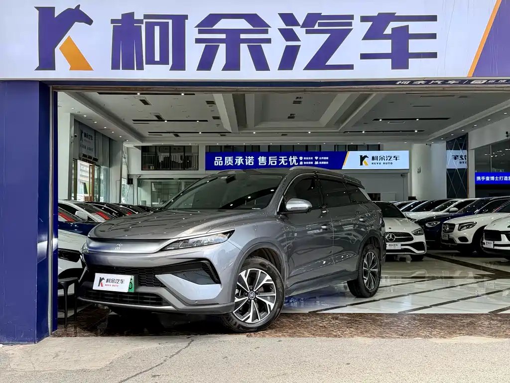 BYD Pro New Energy 2025