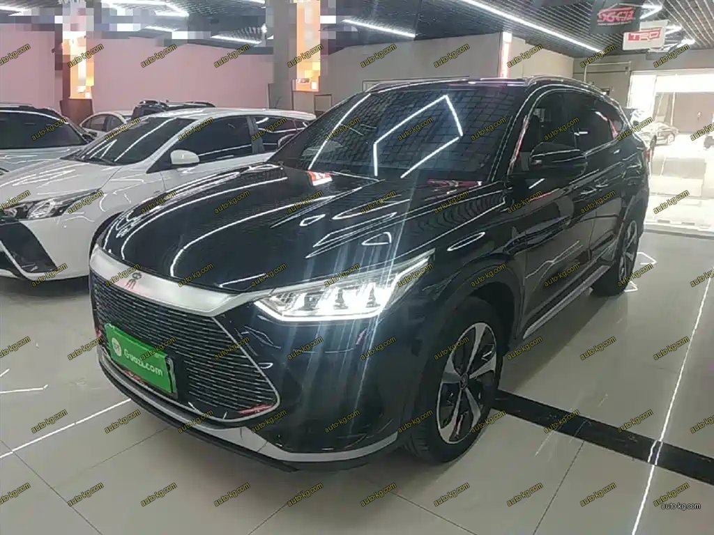BYD PLUS New Energy 2023