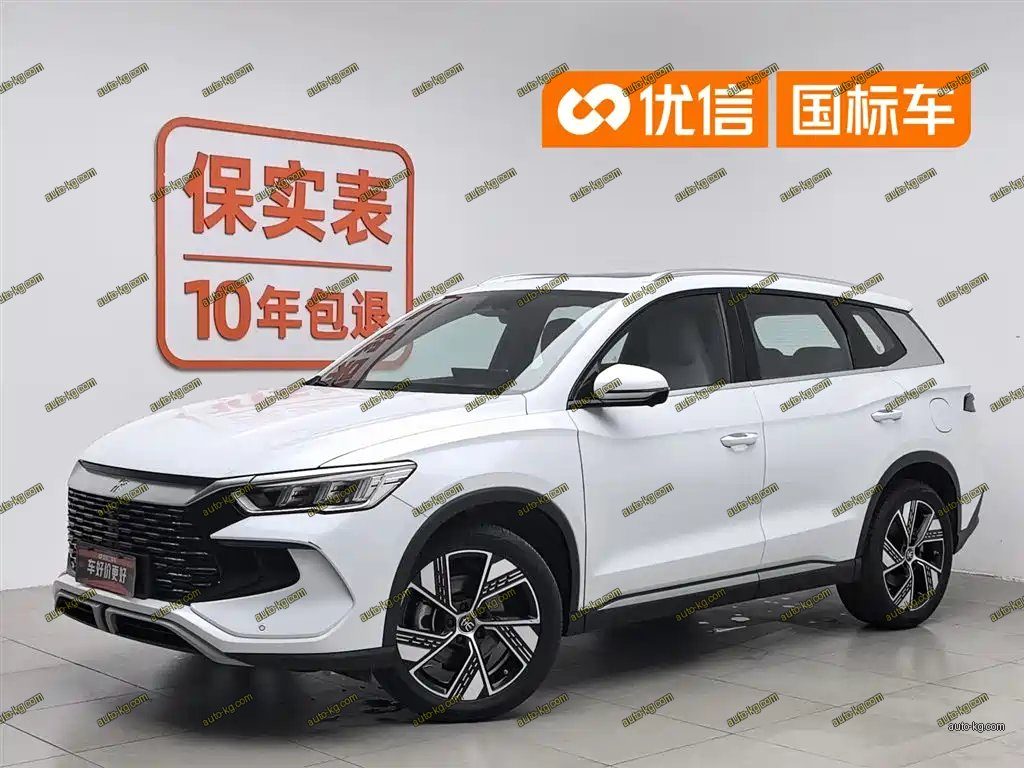 BYD Pro New Energy 2024