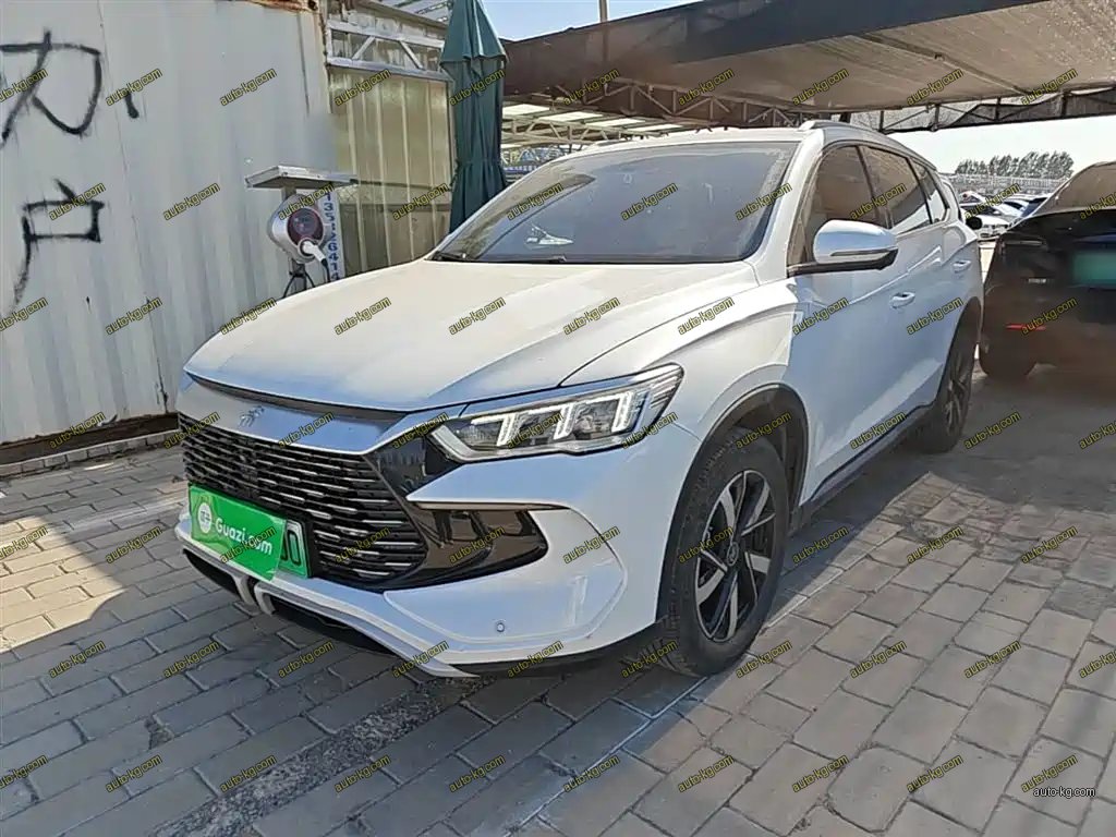 BYD Pro New Energy 2024