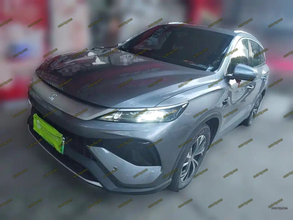 BYD Pro New Energy 2025