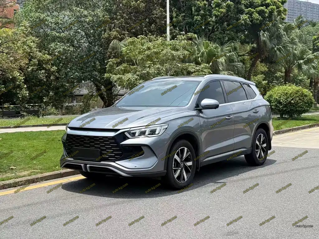 BYD Pro New Energy 2025