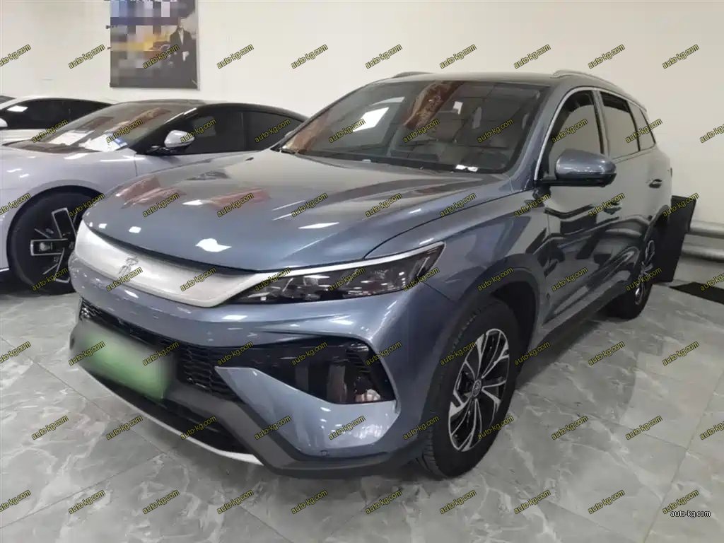 BYD Pro New Energy 2025