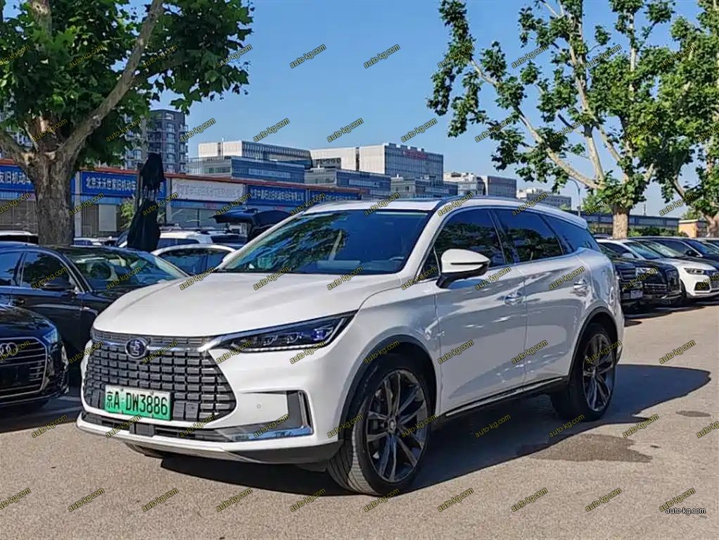 BYD Tang New Energy 2019
