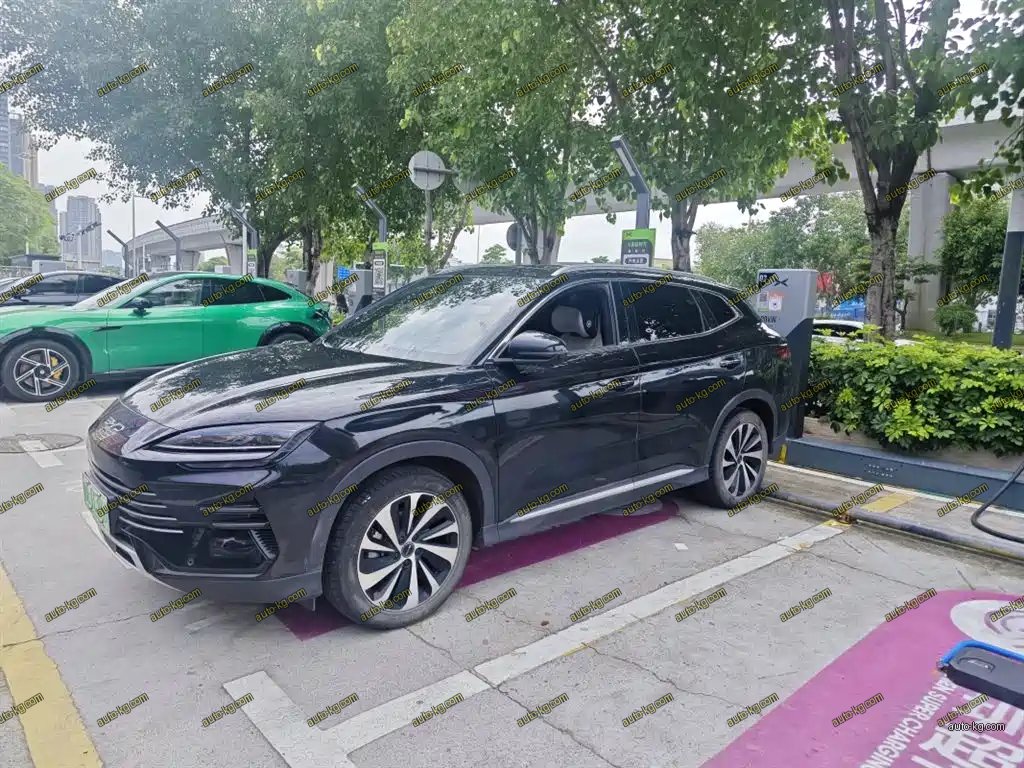 BYD PLUS New Energy 2023