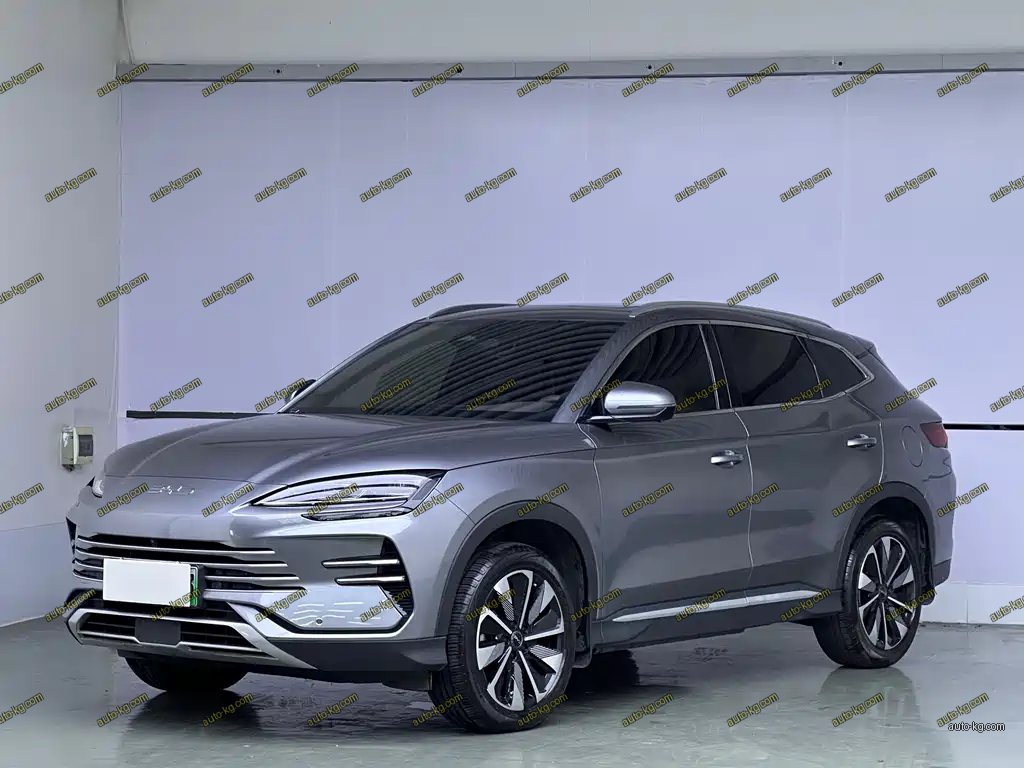 BYD PLUS New Energy 2024