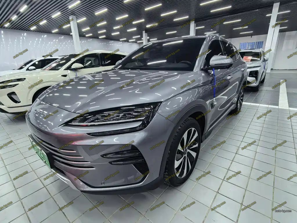 BYD PLUS New Energy 2023
