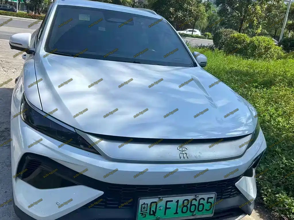 BYD Pro New Energy 2025