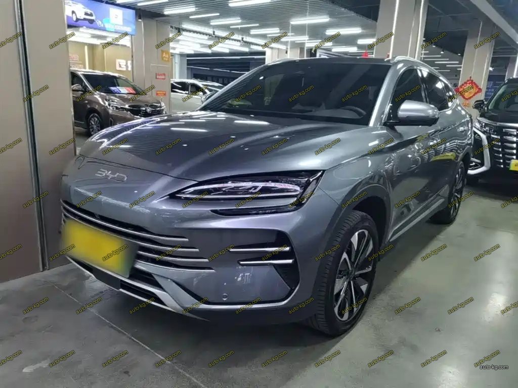 BYD PLUS New Energy 2025