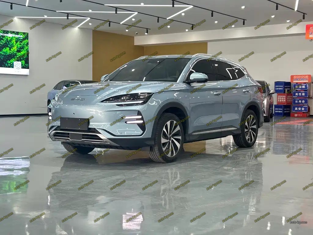 BYD PLUS New Energy 2024