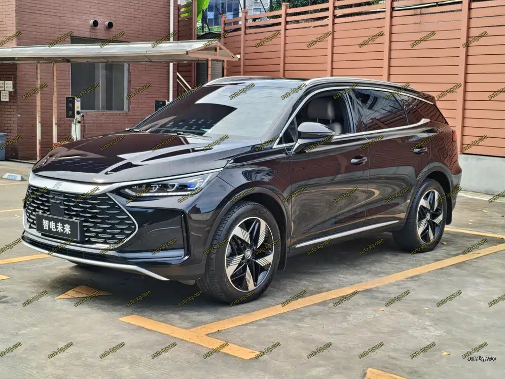 BYD Tang New Energy 2024