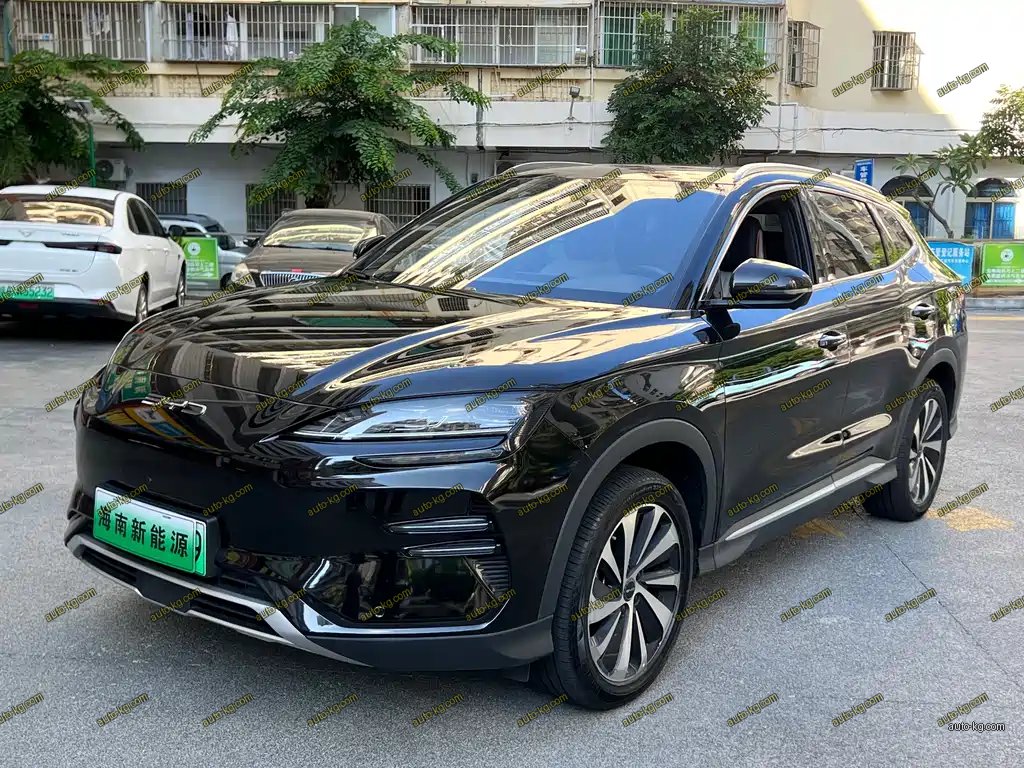 BYD PLUS New Energy 2024