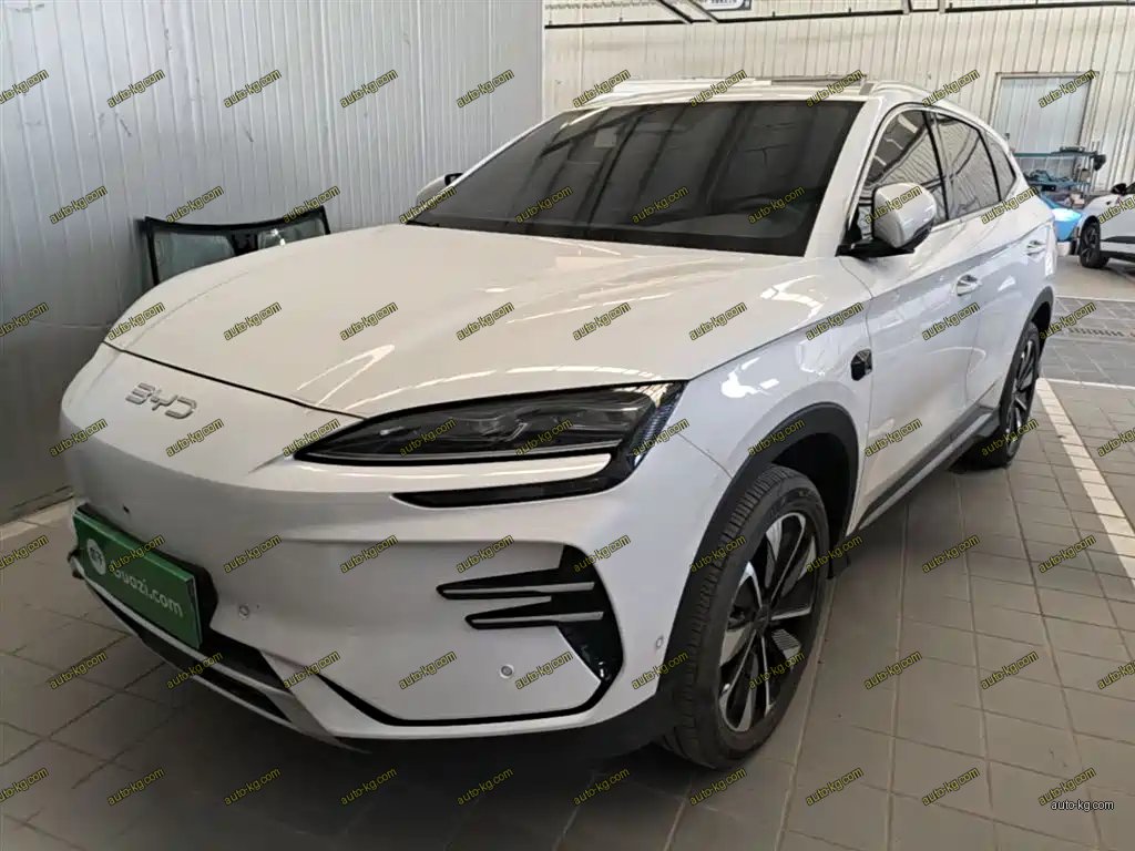 BYD PLUS New Energy 2025