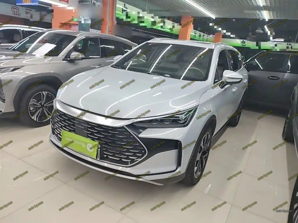 BYD Tang New Energy 2024