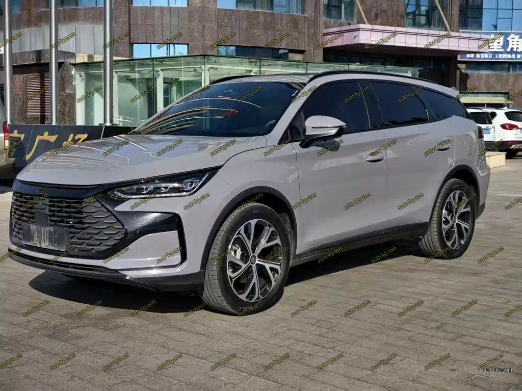 BYD Tang New Energy 2024