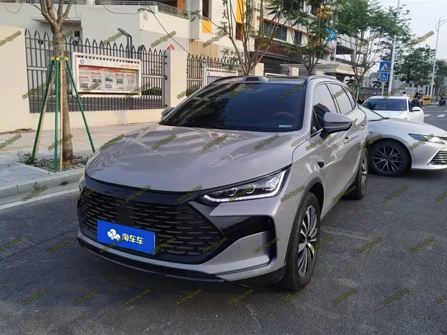 BYD Tang New Energy 2026
