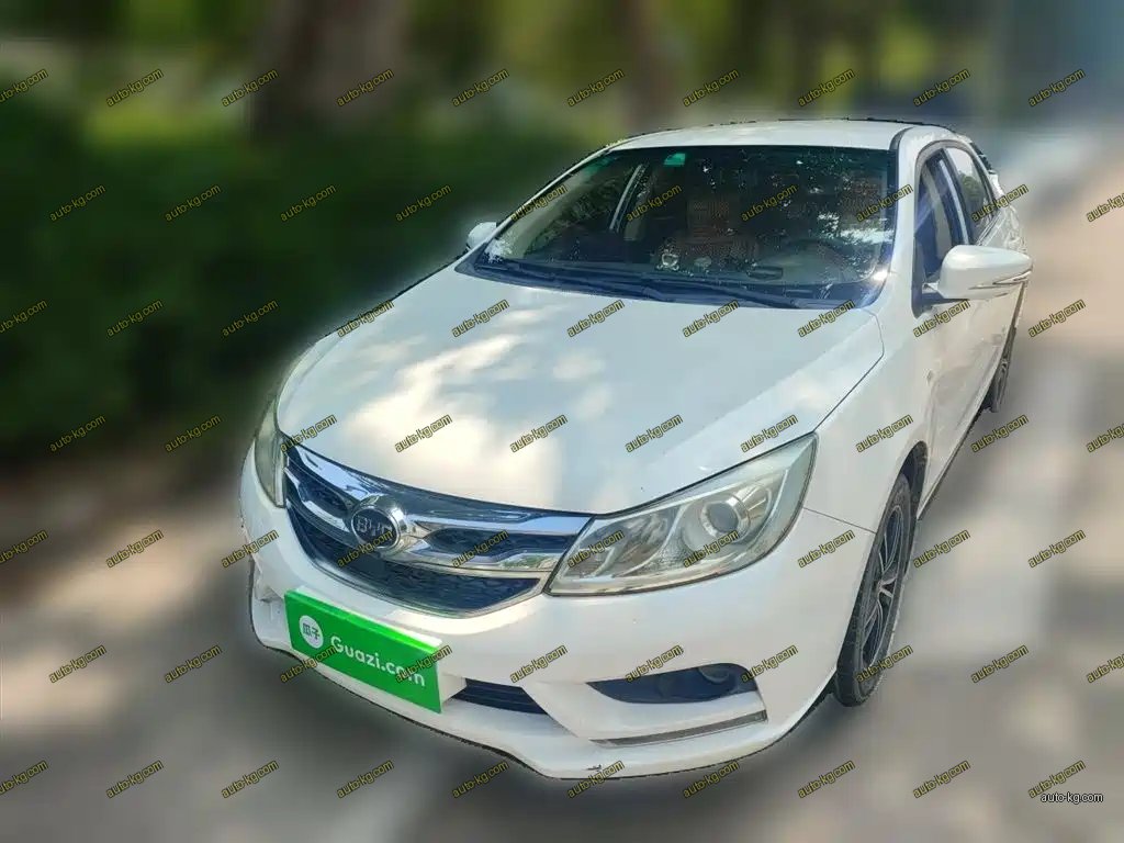 BYD Surui 2016