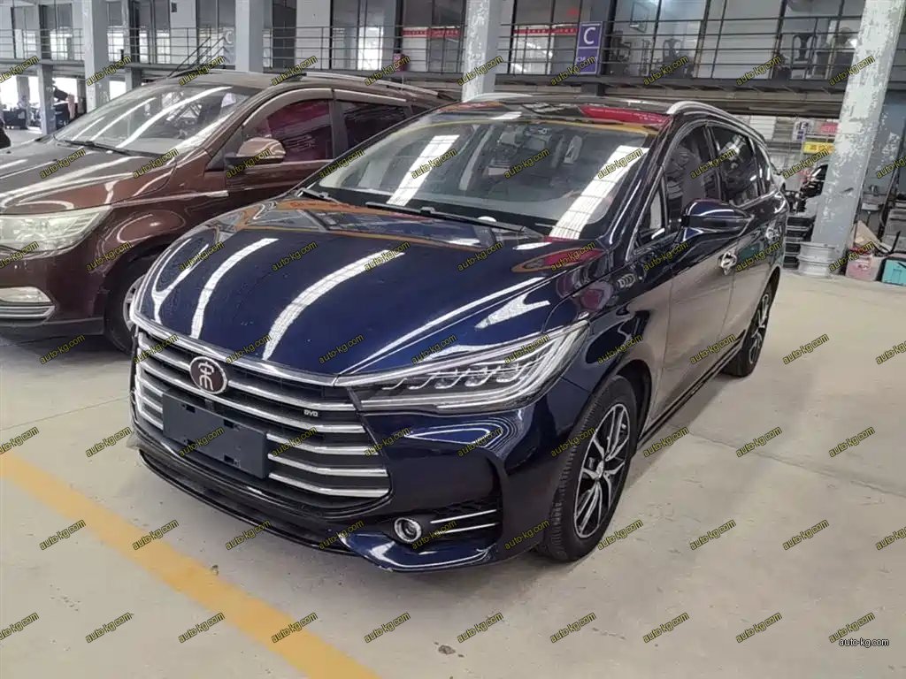 BYD MAX 2018