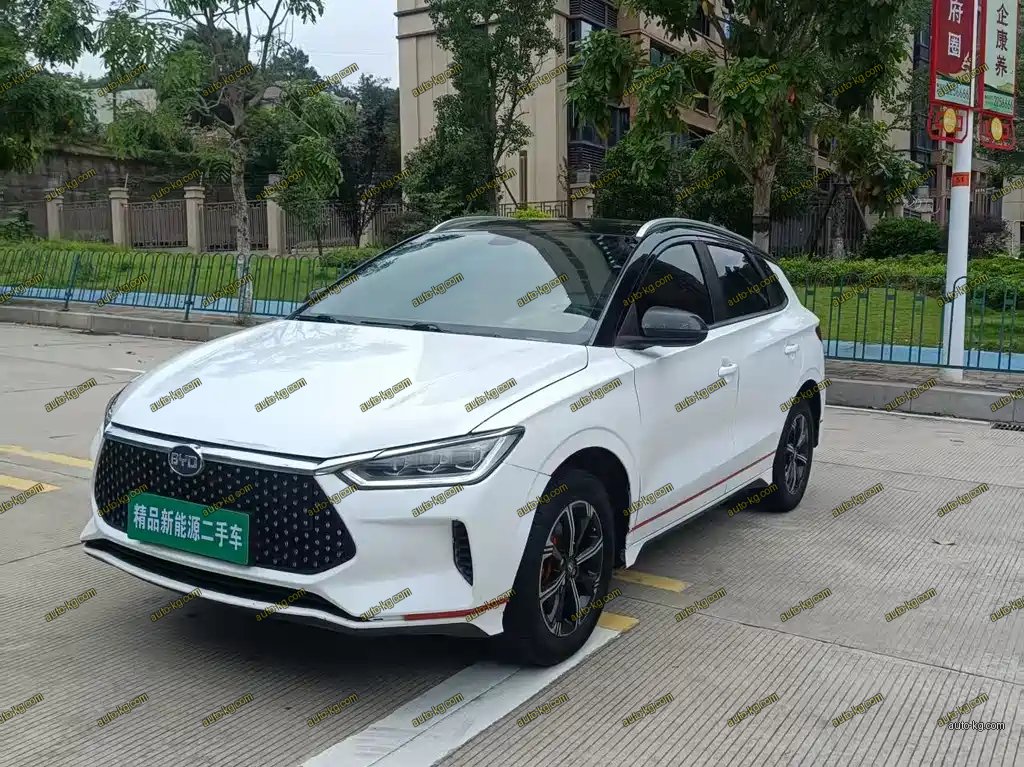 BYD e2 2021