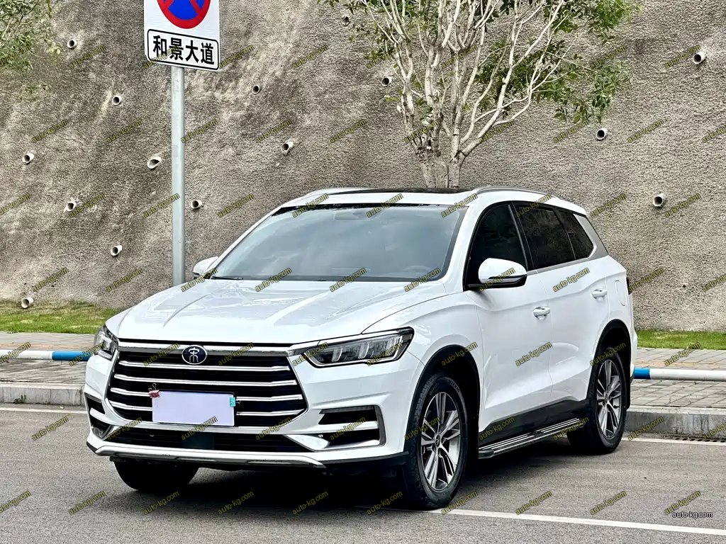 BYD Pro 2020