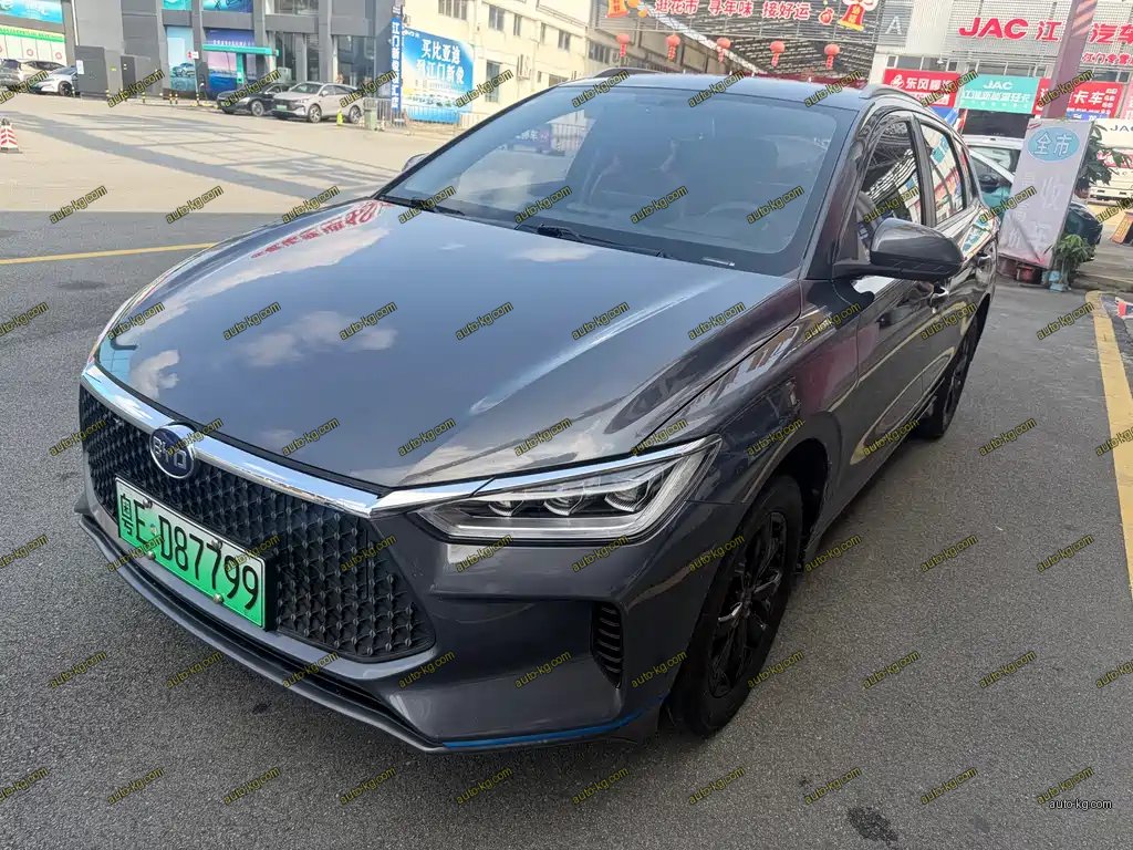 BYD e2 2021