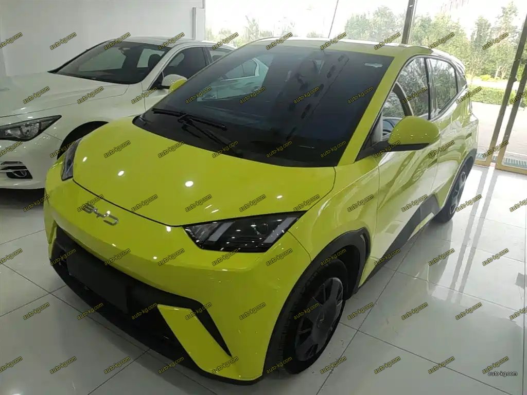 BYD Seagull 2023