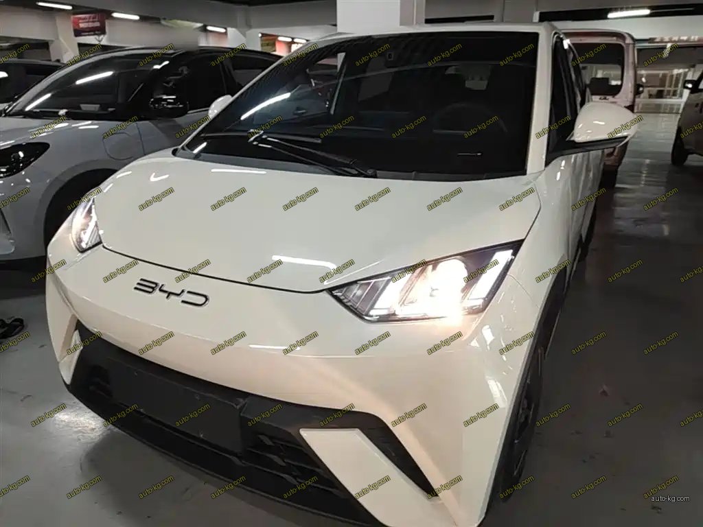 BYD Seagull 2023