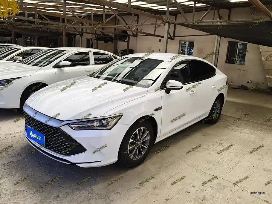 BYD Qin PLUS 2024