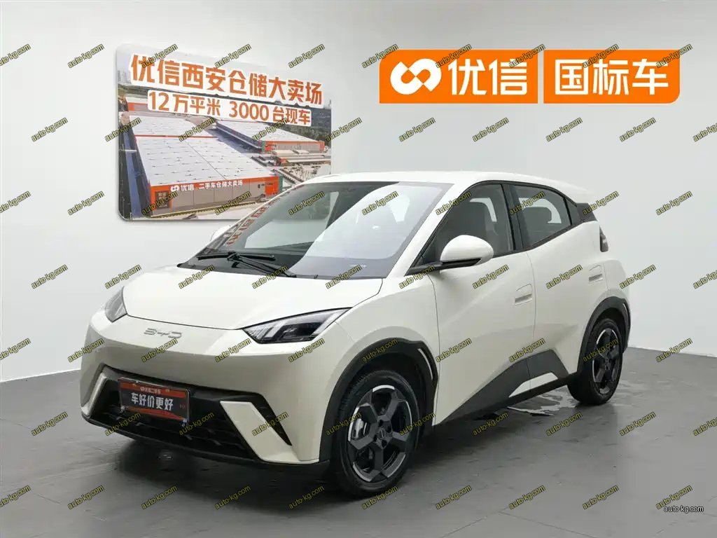 BYD Seagull 2023