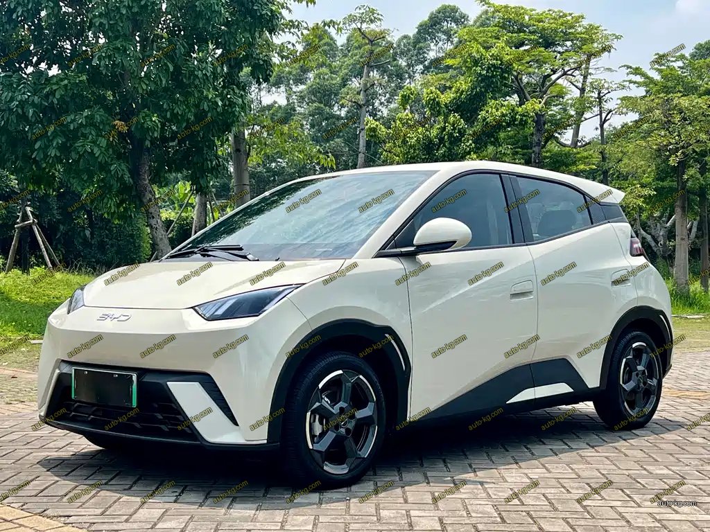 BYD Seagull 2024