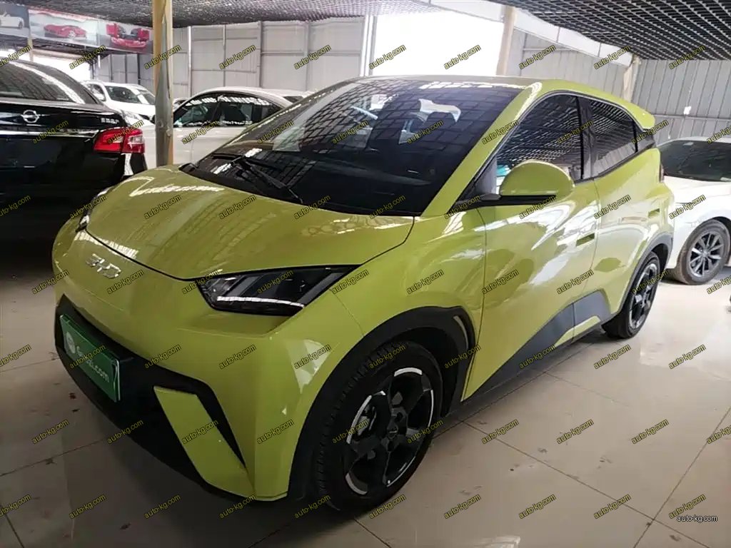 BYD Seagull 2024