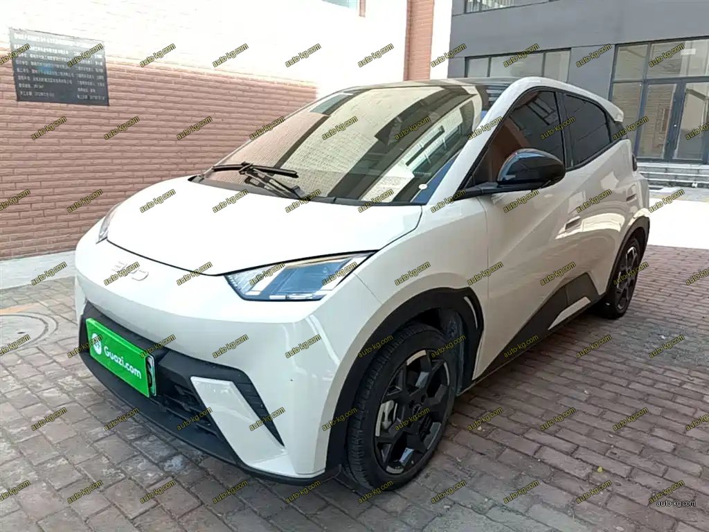 BYD Seagull 2024