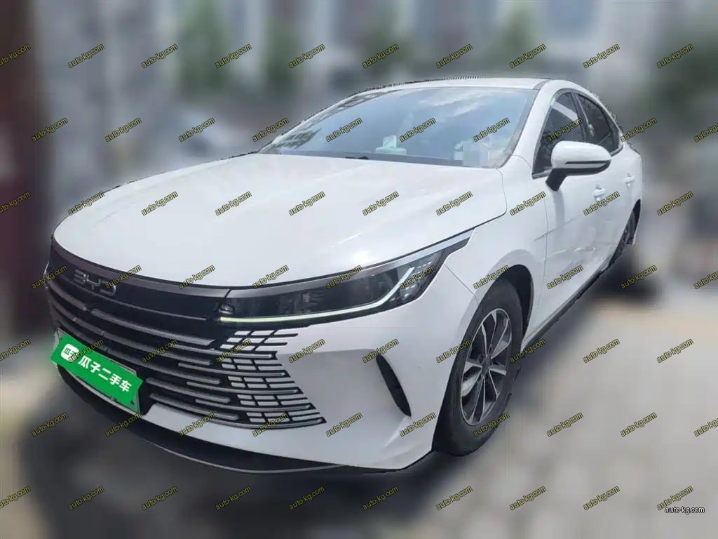BYD Destroyer 05 2024