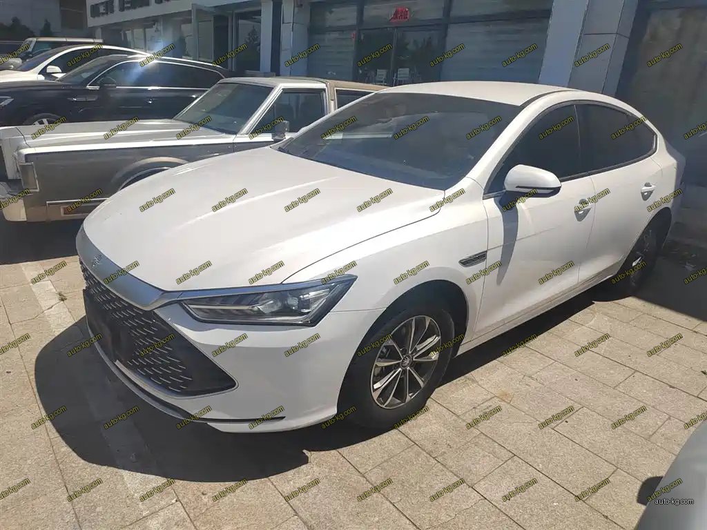 BYD Qin PLUS 2024
