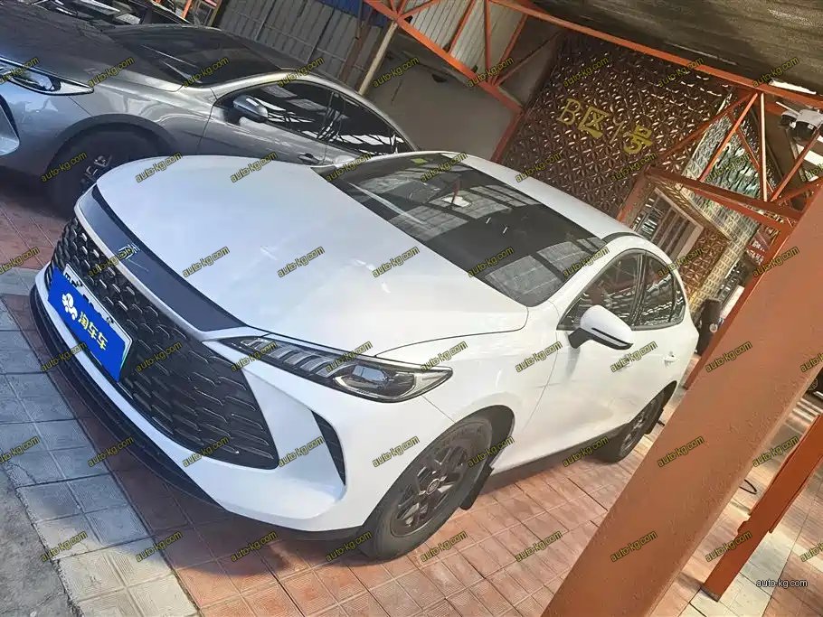 BYD Qin PLUS 2025