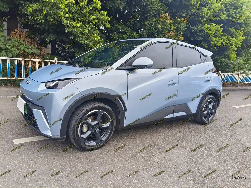 BYD Seagull 2024