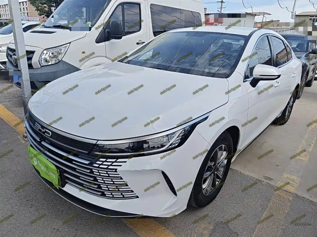 BYD Destroyer 05 2025