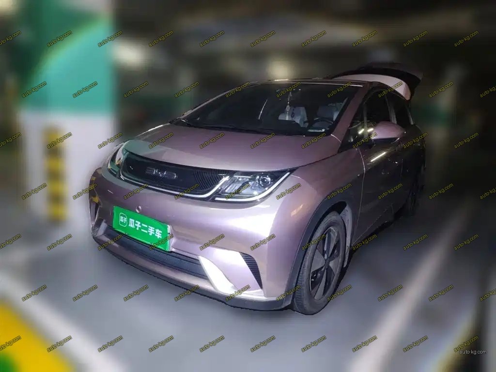BYD Dolphin 2023