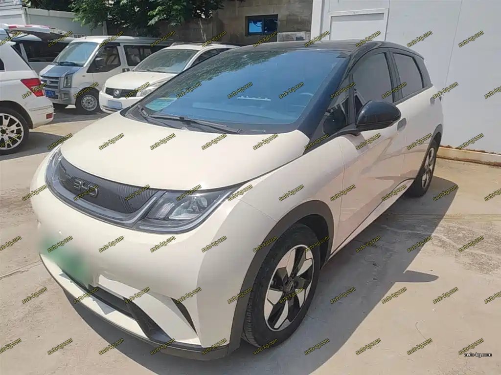 BYD Dolphin 2025