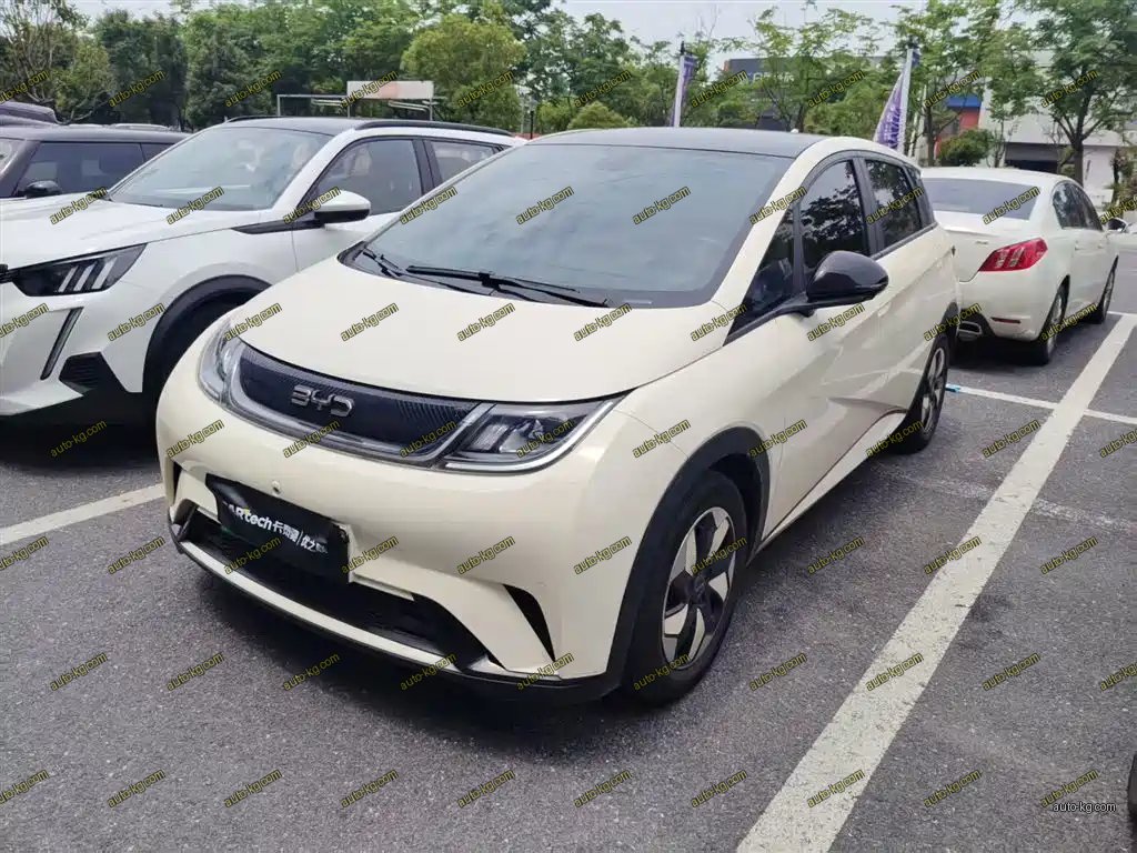 BYD Dolphin 2024