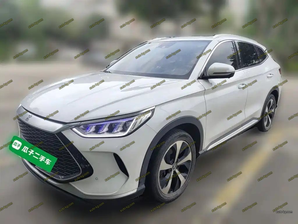 BYD PLUS New Energy 2022