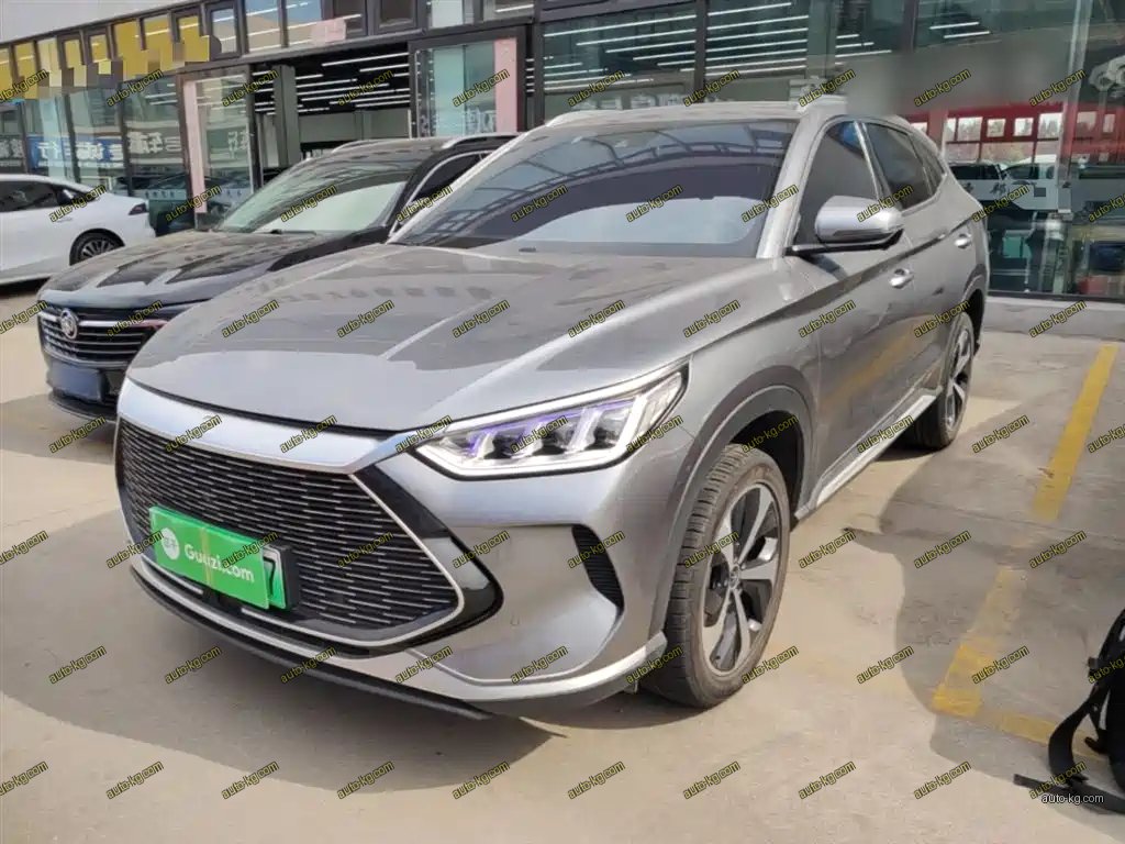 BYD PLUS New Energy 2022
