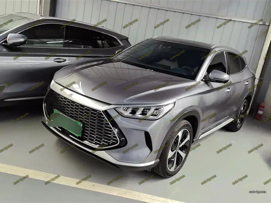 BYD PLUS New Energy 2022