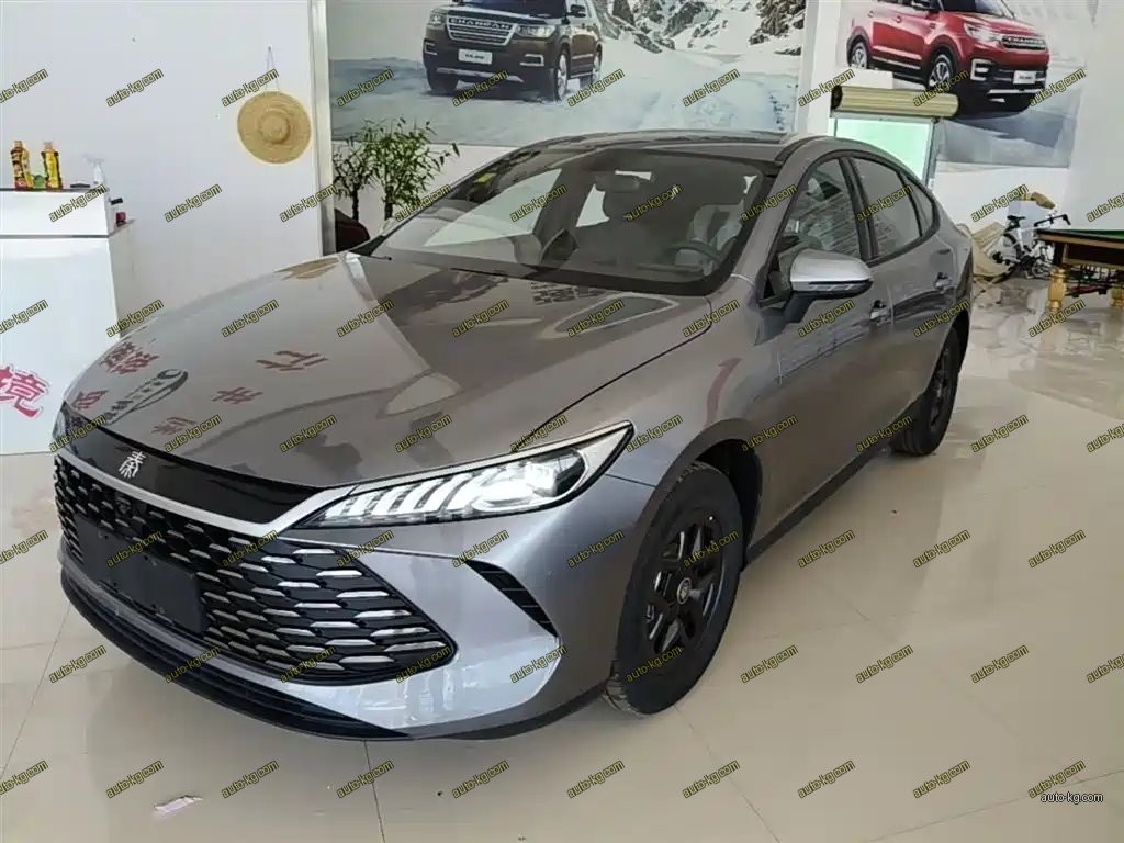 BYD Qin PLUS 2026