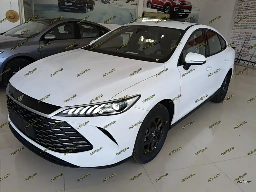 BYD Qin PLUS 2026