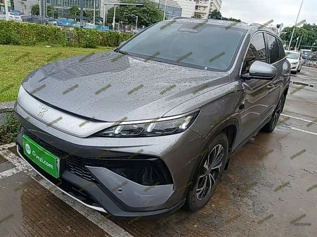 BYD Pro New Energy 2025