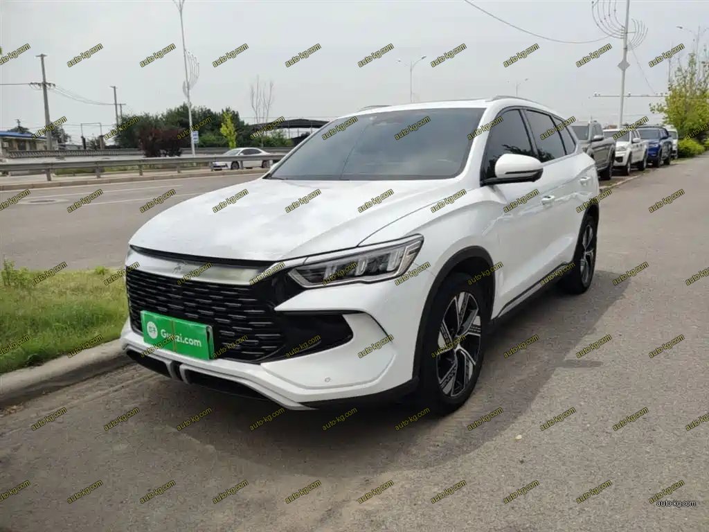 BYD Pro New Energy 2023