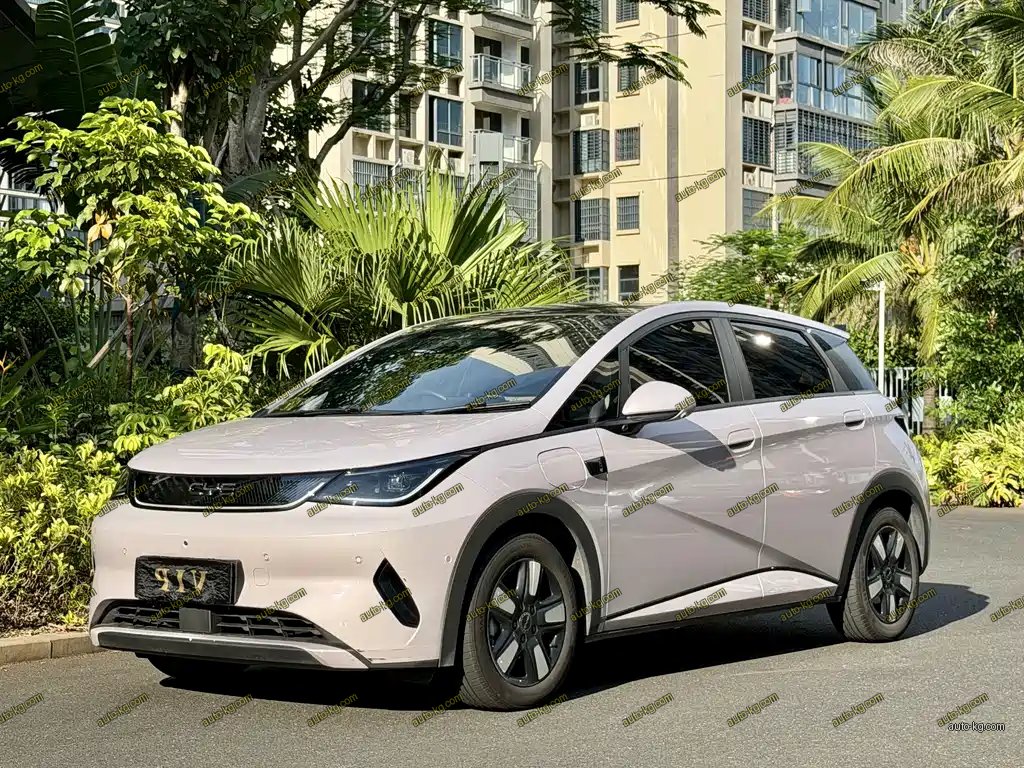BYD Dolphin 2025