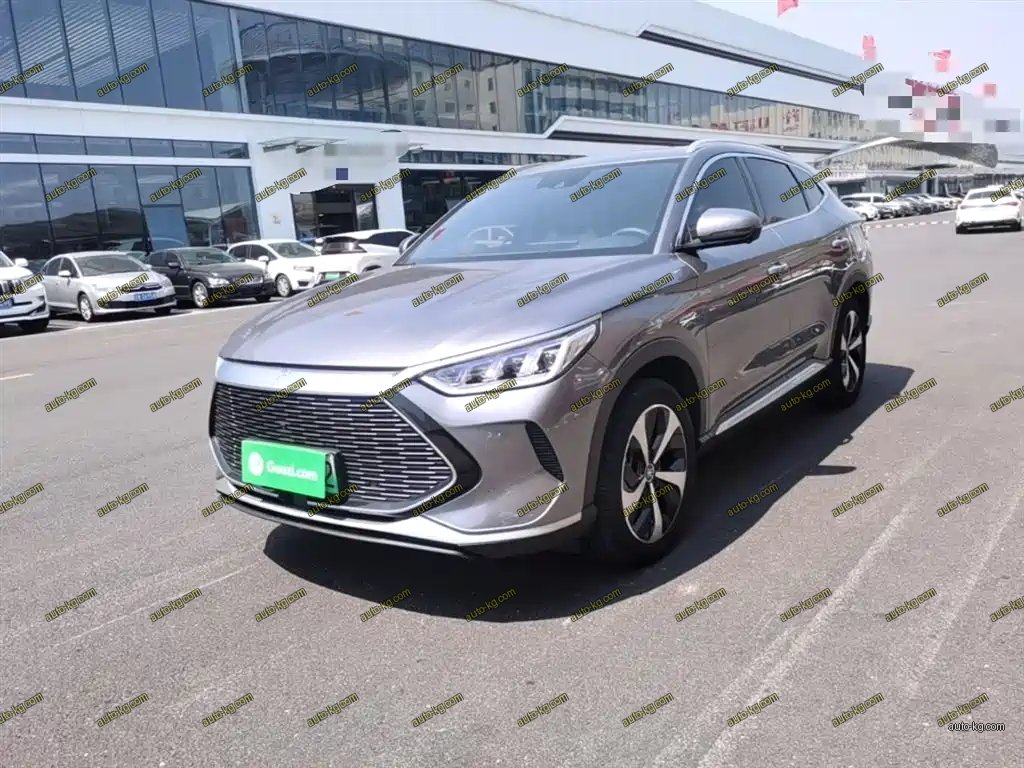 BYD PLUS New Energy 2022
