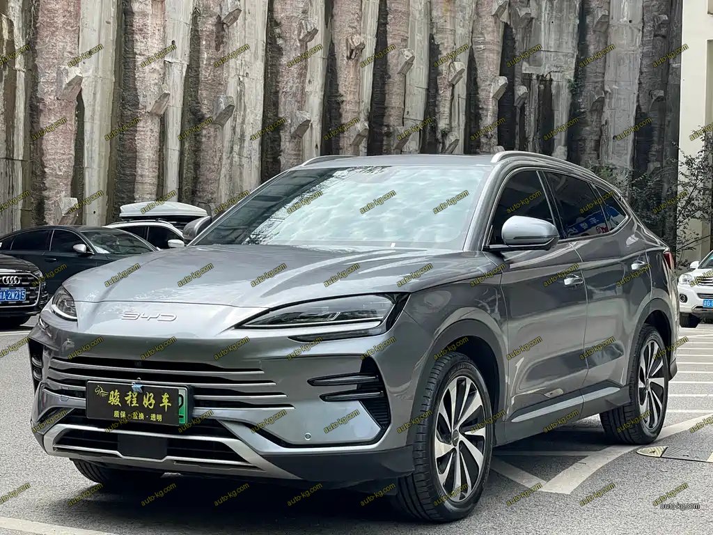 BYD PLUS New Energy 2024